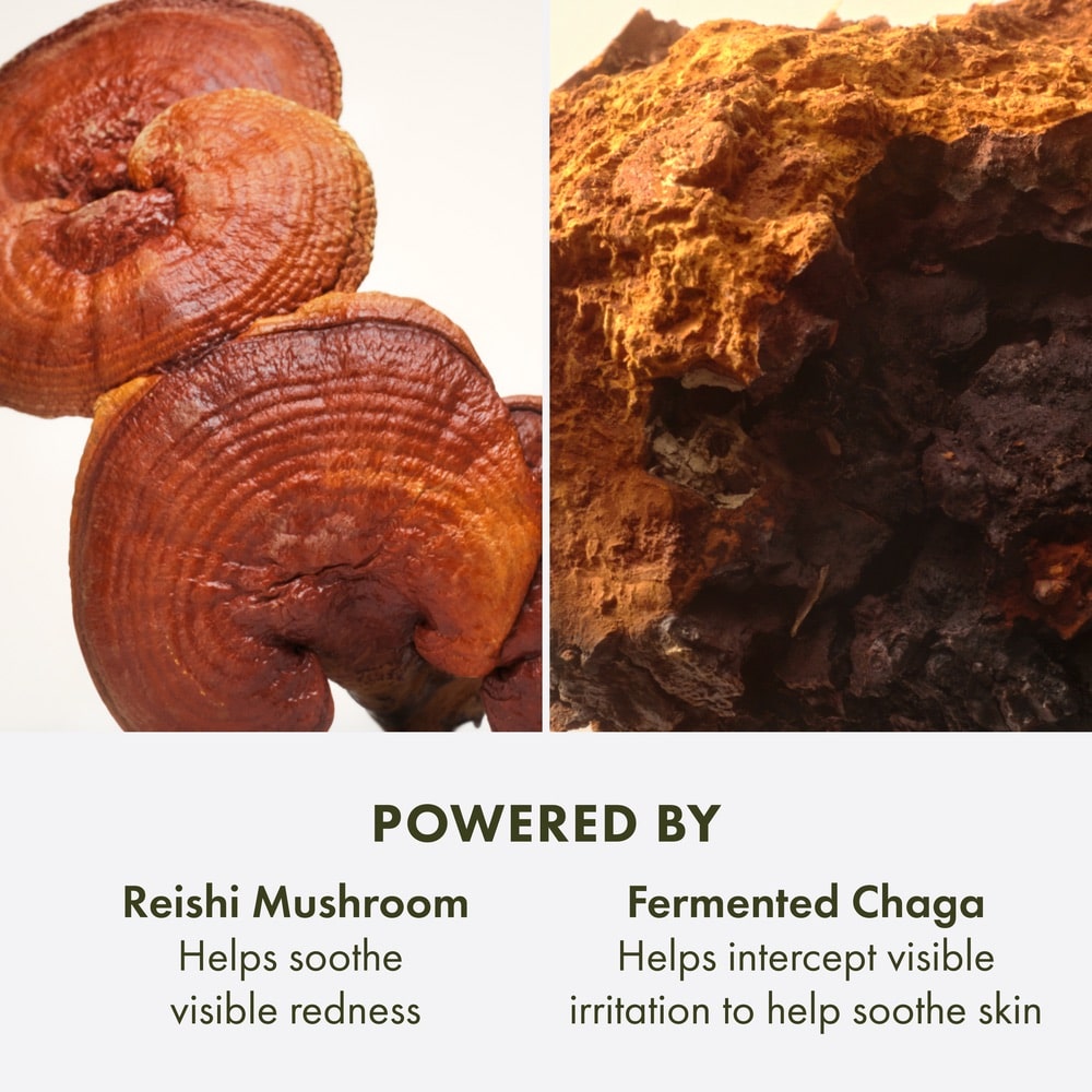 Dr. Andrew Weil for Origins™